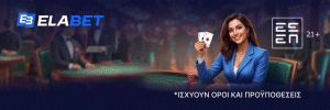 Banner 300x100